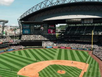 Baseball field from behind homebase with green and brown colors.